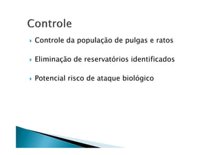 Controle da população de pulgas e ratos
Eliminação de reservatórios identificados
Potencial risco de ataque biológicoPotencial risco de ataque biológico
 
