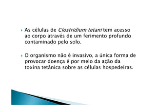 As células de Clostridium tetani tem acesso
ao corpo através de um ferimento profundo
contaminado pelo solo.
O organismo não é invasivo, a única forma deO organismo não é invasivo, a única forma de
provocar doença é por meio da ação da
toxina tetânica sobre as células hospedeiras.
 