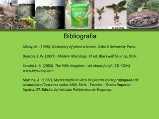 Allaby, M. (1998). Dictionary of plant sciences. Oxford University Press.
Deacon, J. W. (1997). Modern Mycology. 3ª ed. Blackwell Science, EUA.
Kendrick, B. (2003). The Fifth Kingdom – all about fungi. (CD-ROM)
www.mycolog.com
Martins, A. (1997). Micorrização in vitro de plantas micropropagadas de
castanheiro (Castanea sativa Mill). Série - Estudos – Escola Superior
Agrária, 27, Edição do Instituto Politécnico de Bragança.
Bibliografia
 