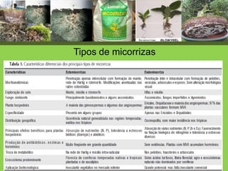 Tipos de micorrizas
Tabela 1 – Os principais tipos de micorrizas (adaptado de Deacon, 1997).
 