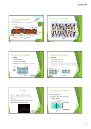 30/06/2014
2
Estrutura e composição
Colesterol
Molécula plana e rígida que confere rigidez a
membrana.
Imagem modificada a partir de:
http://pt.wikipedia.org/wiki/Membrana_plasm%C3%A1tica#mediaviewer/Ficheiro:Cell_membrane_detailed_diagram_pt.svg
Imagem modificada a partir de:
http://www2.ufpel.edu.br/biotecnologia/gbiotec/site/content/paginadoprofessor/uploadsprofessor/f7d4b81858c6fbc4
f6578782a3bfb7ac.pdf
Estrutura e composição
Estrutura e composição
Bactéria
Bicamada lipídica;
Presença de ácido graxo;
Ligação éster entre ácido graxo e glicerol.
Imagem modificada a partir de:
http://www2.ufpel.edu.br/biotecnologia/gbiotec/sit
e/content/paginadoprofessor/uploadsprofessor/f7
d4b81858c6fbc4f6578782a3bfb7ac.pdf
Estrutura e composição
Archaea
Monocamada lipídica;
Ausência de ácido graxo;
Presença de cadeias de hidrocarbonetos(isopreno);
Ligação éter entre glicerol e as cadeias de isopreno.
Fonte da imagem:
http://estructurayfuncioncelularbacteriana.wikispaces.com/Membrana+celular+Arqueas
Funções
Barreira de permeabilidade seletiva;
Sítio de localização de várias proteínas;
Proteção;
Reconhecimento entre as células vizinhas;
Delimitação do ambiente celular.
Fonte da imagem:
http://bionoensinomedio.blogspot.com.br/20
11/05/2-ano-aula-22-envoltorios-
celulares.html
Transporte via membrana
Transporte passivo
• Ocorre sem gasto de energia(ATP).
1. Difusão simples
Fonte da imagem: http://rachacuca.com.br/educacao/biologia/transporte-pelas-membranas/
 