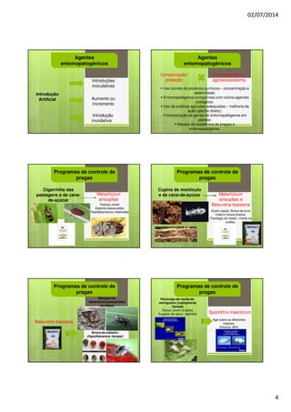 02/07/2014
4
Agentes
entomopatogênicos
Introduções
inoculativas
Introdução
Artificial Aumento ou
incremento
Introdução
inundativa
Agentes
entomopatogênicos
Uso correto de produtos químicos – concentração e
seletividade;
Entomopatógenos compatíveis com outros agentes
biológicos;
Uso de práticas agrícolas adequadas – melhoria da
ação (plantio direto);
Incorporação de genes de entomopatógenos em
plantas;
Manejo da resistência de pragas a
entomopatógenos.
Conservação/
proteção
Intervenções no
agroecossistema
Programas de controle de
pragas
Cigarrinha das
pastagens e da cana-
de-açúcar
Metarhizium
anisopliae
Doença verde
Esporos assexuados
Peptidiosciclicos inseticidas
Programas de controle de
pragas
Cupins de montículo
e da cana-de-açúcar Metarhizium
anisopliae e
Beauveria bassiana
Ácaro-rajado, Broca-da-erva
mate e mosca branca.
Fisiologia do inseto / morte na
ecdise.
Programas de controle de
pragas
Moleque da
bananeira(Cosmopolites
sordidus)
Beauveria bassiana
Broca-do-cafeeiro
(Hypothenemus hampei)
Programas de controle de
pragas
Percevejo-de-renda-da-
seringueira (Leptopharsa
heveae)
Danos: jovem e adulta
Sugador de seiva - desfolha Sporothrix insectorum
Age sobre os diferentes
instares.
Eficácia: 95%
 