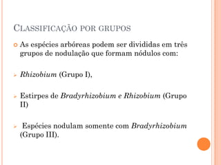 CLASSIFICAÇÃO POR GRUPOS
 As espécies arbóreas podem ser divididas em três
grupos de nodulação que formam nódulos com:
 Rhizobium (Grupo I),
 Estirpes de Bradyrhizobium e Rhizobium (Grupo
II)
 Espécies nodulam somente com Bradyrhizobium
(Grupo III).
 