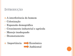 INTRODUÇÃO
 A interferência do homem
 Colonização
 Expansão demográfica
 Crescimento industrial e agrícola
 Manejo inadequado
 Desmatamento
 Importância Econômica
Ambiental
 