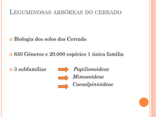 LEGUMINOSAS ARBÓREAS DO CERRADO
 Biologia dos solos dos Cerrado
 650 Gêneros e 20.000 espécies 1 única família
 3 subfamílias Papilionoideae
Mimosoideae
Caesalpinioideae
 
