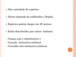 Alta variedade de espécies
 Altura depende da subfamília e Região
 Espécies podem chegar ate 20 metros
 Estão distribuídas por vários habitats
 Campo sujo ( subarbustiva )
 Cerrado (arbustivo-arbóreo)
 Cerradão alto (arbustivo-arbóreo)
 