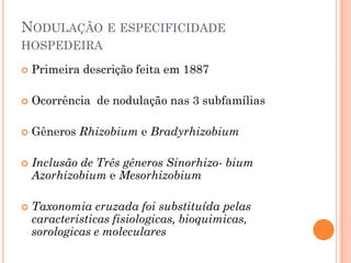 NODULAÇÃO E ESPECIFICIDADE
HOSPEDEIRA
 Primeira descrição feita em 1887
 Ocorrência de nodulação nas 3 subfamílias
 Gêneros Rhizobium e Bradyrhizobium
 Inclusão de Três gêneros Sinorhizo- bium
Azorhizobium e Mesorhizobium
 Taxonomia cruzada foi substituída pelas
caracteristicas fisiologicas, bioquimicas,
sorologicas e moleculares
 