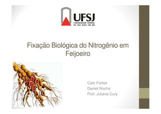 Fixação Biológica do Nitrogênio em
FeijoeiroFeijoeiro
Caio Fortes
Daniel Rocha
Prof. Juliano Cury
 