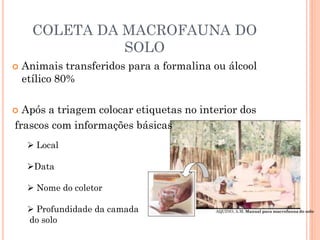 COLETA DA MACROFAUNA DO
SOLO
 Animais transferidos para a formalina ou álcool
etílico 80%
 Após a triagem colocar etiquetas no interior dos
frascos com informações básicas
 Local
Data
 Nome do coletor
 Profundidade da camada
do solo
AQUINO, A.M. Manual para macrofauna do solo
 