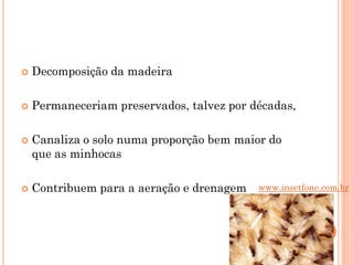  Decomposição da madeira
 Permaneceriam preservados, talvez por décadas,
 Canaliza o solo numa proporção bem maior do
que as minhocas
 Contribuem para a aeração e drenagem www.insetfone.com.br
 