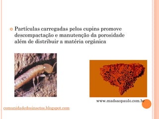  Partículas carregadas pelos cupins promove
descompactação e manutenção da porosidade
além de distribuir a matéria orgânica
comunidadedosinsetos.blogspot.com
www.madsaopaulo.com.br
 