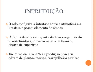 INTRUDUÇÃO
 O solo configura a interface entre a atmosfera e a
litosfera e possui elemento de ambas
 A fauna do solo é composta de diversos grupos de
invertebrados que vivem na serripilheira ou
abaixo da superficie
 Em torno de 80 a 90% da produção primária
advem de plantas mortas, serrapilheira e raízes
 