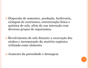  Dispersão de sementes, predação, herbivoria,
ciclagem de nutrientes, estruturação física e
química do solo, além da sua interação com
diversos grupos de organismos.
 Revolvimento do solo durante a escavação dos
ninhos e incorporação da matéria orgânica
utilizada como alimento.
 Aumento da porosidade e drenagem
 