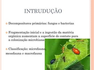 INTRUDUÇÃO
 Decompositores primários: fungos e bacterias
 Fragmentação inicial e a ingestão da matéria
orgânica aumentam a superficie de contato para
a colonização microbiana
 Classificação: microfauna,
mesofauna e macrofauna
aprendendocomovoinho.br
 