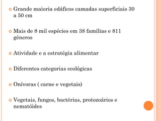  Grande maioria edáficos camadas superficiais 30
a 50 cm
 Mais de 8 mil espécies em 38 famílias e 811
gêneros
 Atividade e a estratégia alimentar
 Diferentes categorias ecológicas
 Onívoras ( carne e vegetais)
 Vegetais, fungos, bactérias, protozoários e
nematóides
 