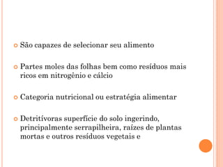  São capazes de selecionar seu alimento
 Partes moles das folhas bem como resíduos mais
ricos em nitrogênio e cálcio
 Categoria nutricional ou estratégia alimentar
 Detritívoras superfície do solo ingerindo,
principalmente serrapilheira, raízes de plantas
mortas e outros resíduos vegetais e
 