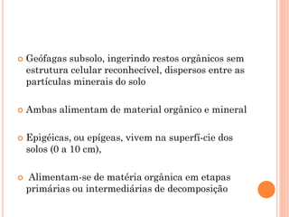  Geófagas subsolo, ingerindo restos orgânicos sem
estrutura celular reconhecível, dispersos entre as
partículas minerais do solo
 Ambas alimentam de material orgânico e mineral
 Epigéicas, ou epígeas, vivem na superfí-cie dos
solos (0 a 10 cm),
 Alimentam-se de matéria orgânica em etapas
primárias ou intermediárias de decomposição
 