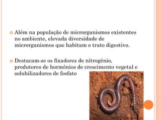  Além na população de microrganismos existentes
no ambiente, elevada diversidade de
microrganismos que habitam o trato digestivo.
 Destacam-se os fixadores de nitrogênio,
produtores de hormônios de crescimento vegetal e
solubilizadores de fosfato
revistagloborural
 
