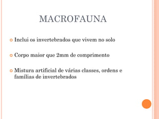 MACROFAUNA
 Inclui os invertebrados que vivem no solo
 Corpo maior que 2mm de comprimento
 Mistura artificial de várias classes, ordens e
famílias de invertebrados
 