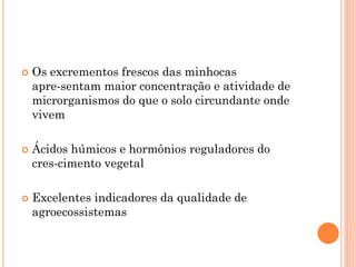  Os excrementos frescos das minhocas
apre-sentam maior concentração e atividade de
microrganismos do que o solo circundante onde
vivem
 Ácidos húmicos e hormônios reguladores do
cres-cimento vegetal
 Excelentes indicadores da qualidade de
agroecossistemas
 