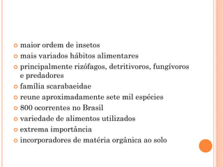  maior ordem de insetos
 mais variados hábitos alimentares
 principalmente rizófagos, detritivoros, fungívoros
e predadores
 família scarabaeidae
 reune aproximadamente sete mil espécies
 800 ocorrentes no Brasil
 variedade de alimentos utilizados
 extrema importância
 incorporadores de matéria orgânica ao solo
 