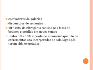  escavadores de galerias
 dispersores de sementes
 70 a 80% do nitrogênio contido nas fezes de
bovinos é perdido em pouco tempo
 Reduz 10 a 15% a perda de nitrogênio quando os
excrementos são incorporados ao solo logo após
terem sido excretados
 