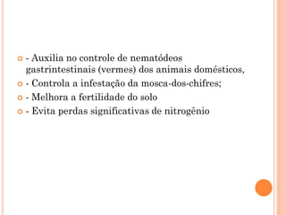  - Auxilia no controle de nematódeos
gastrintestinais (vermes) dos animais domésticos,
 - Controla a infestação da mosca-dos-chifres;
 - Melhora a fertilidade do solo
 - Evita perdas significativas de nitrogênio
 