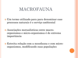 MACROFAUNA
 Um termo utilizado para para denominar esse
processos naturais é o serviço ambiental
 Associações mutualisticas entre macro-
organismos e micro-organismos é de extrema
importância
 Estreita relação com a mesofauna e com micro-
organismos, modificando suas populações
 
