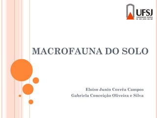 MACROFAUNA DO SOLO
Eloiso Junio Corrêa Campos
Gabriela Conceição Oliveira e Silva
 