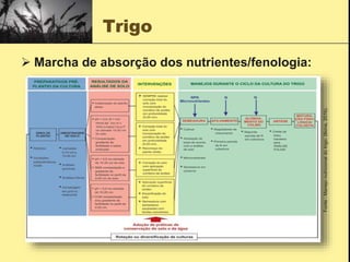 Trigo
 Marcha de absorção dos nutrientes/fenologia:
Fonte
:
Manejo
nutricional
do
trigo;
(Bona,
2016).
 