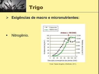 Trigo
 Exigências de macro e micronutrientes:
 Nitrogênio.
Fonte: Tabela nitrogênio; (Weitholter, 2011).
 