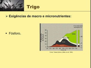 Trigo
 Exigências de macro e micronutrientes:
 Fósforo.
Fonte: Tabela fósforo; (Miller et all; 1994).
 