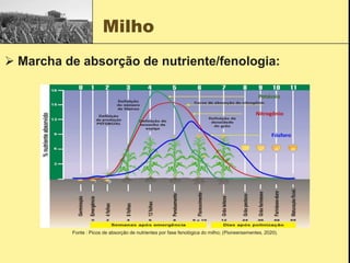 Milho
 Marcha de absorção de nutriente/fenologia:
Fonte : Picos de absorção de nutrientes por fase fenológica do milho; (Pioneersementes, 2020).
 