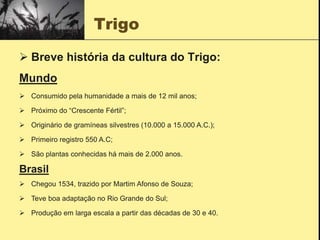 Trigo
 Breve história da cultura do Trigo:
Mundo
 Consumido pela humanidade a mais de 12 mil anos;
 Próximo do “Crescente Fértil”;
 Originário de gramíneas silvestres (10.000 a 15.000 A.C.);
 Primeiro registro 550 A.C;
 São plantas conhecidas há mais de 2.000 anos.
Brasil
 Chegou 1534, trazido por Martim Afonso de Souza;
 Teve boa adaptação no Rio Grande do Sul;
 Produção em larga escala a partir das décadas de 30 e 40.
 