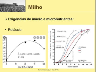 Milho
• Potássio.
Exigências de macro e micronutrientes:
Fonte: Potássio; (Lyra et al; 2014).
 