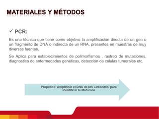 PCR: Es una técnica que tiene como objetivo la amplificación directa de un gen o un fragmento de DNA o indirecta de un RNA, presentes en muestras de muy diversas fuentes.  Se Aplica para establecimientos de polimorfismos , rastreo de mutaciones, diagnostico de enfermedades genéticas, detección de células tumorales etc.  
