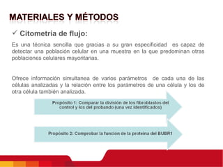 Citometría de flujo: Es una técnica sencilla que gracias a su gran especificidad  es capaz de detectar una población celular en una muestra en la que predominan otras poblaciones celulares mayoritarias.  Ofrece información simultanea de varios parámetros  de cada una de las células analizadas y la relación entre los parámetros de una célula y los de otra célula también analizada. 