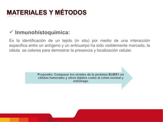 Inmunohistoquimica: Es la identificación de un tejido (in situ) por medio de una interacción especifica entre un antígeno y un anticuerpo ha sido visiblemente marcado, la célula  se colorea para demostrar la presencia y localización celular. 
