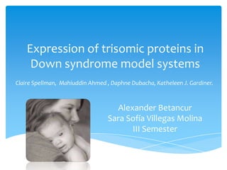 Expression of trisomic proteins in
     Down syndrome model systems
Claire Spellman, Mahiuddin Ahmed , Daphne Dubacha, Katheleen J. Gardiner.



                                    Alexander Betancur
                                  Sara Sofía Villegas Molina
                                        III Semester
 