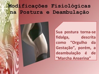 Mudanças na gravidez: Postura e deambulação | PPT