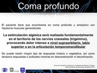 Coma profundo
arreactivo
El paciente tiene que encontrarse en coma profundo y arreactivo con
hipotonía muscular generalizada.

La estimulación algésica será realizada fundamentalmente
en el territorio de los nervios craneales (trigémino),
provocando dolor intenso a nivel supraorbitario, labio
superior o en la articulación temporomandibular
No puede existir ningún tipo de respuesta motora o vegetativa, así como
tampoco respuestas o actitudes motoras en descerebración ni decorticación.
Curso en la Gestión de Donación y Trasplante de Órganos y Tejidos.
Manual Docente. Bucaramanga, Noviembre 2013

 