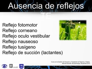 Ausencia de reflejos
TE
Reflejo fotomotor
Reflejo corneano
Reflejo oculo vestibular
Reflejo nauseoso
Reflejo tusígeno
Reflejo de succión (lactantes)
Curso en la Gestión de Donación y Trasplante de Órganos y Tejidos.
Manual Docente. Bucaramanga, Noviembre 2013

 