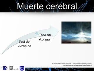 Muerte cerebral

Curso en la Gestión de Donación y Trasplante de Órganos y Tejidos.
Manual Docente. Bucaramanga, Noviembre 2013

 