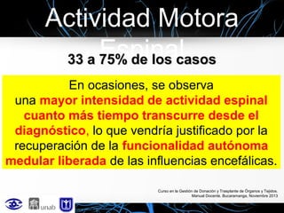 Actividad Motora
Espinal
33 a 75% de los casos
En ocasiones, se observa
una mayor intensidad de actividad espinal
cuanto más tiempo transcurre desde el
diagnóstico, lo que vendría justificado por la
recuperación de la funcionalidad autónoma
medular liberada de las influencias encefálicas.
Curso en la Gestión de Donación y Trasplante de Órganos y Tejidos.
Manual Docente. Bucaramanga, Noviembre 2013

 