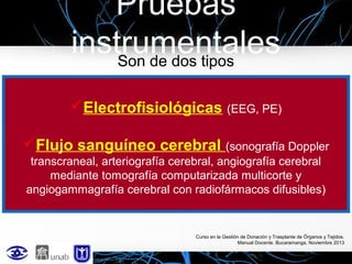 Pruebas
instrumentales
Son de dos tipos
Electrofisiológicas (EEG, PE)
Flujo sanguíneo cerebral (sonografía Doppler
transcraneal, arteriografía cerebral, angiografía cerebral
mediante tomografía computarizada multicorte y
angiogammagrafía cerebral con radiofármacos difusibles)

Curso en la Gestión de Donación y Trasplante de Órganos y Tejidos.
Manual Docente. Bucaramanga, Noviembre 2013

 