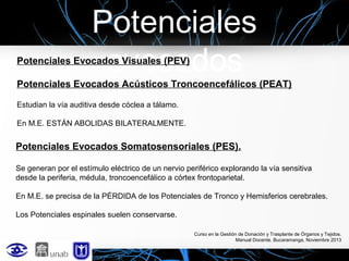 Potenciales
evocados

Potenciales Evocados Visuales (PEV)

Potenciales Evocados Acústicos Troncoencefálicos (PEAT)
Estudian la vía auditiva desde cóclea a tálamo.
En M.E. ESTÁN ABOLIDAS BILATERALMENTE.

Potenciales Evocados Somatosensoriales (PES).
Se generan por el estímulo eléctrico de un nervio periférico explorando la vía sensitiva
desde la periferia, médula, troncoencefálico a córtex frontoparietal.
En M.E. se precisa de la PÉRDIDA de los Potenciales de Tronco y Hemisferios cerebrales.
Los Potenciales espinales suelen conservarse.
Curso en la Gestión de Donación y Trasplante de Órganos y Tejidos.
Manual Docente. Bucaramanga, Noviembre 2013

 