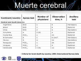 Muerte cerebral

 