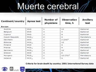 Muerte cerebral

 