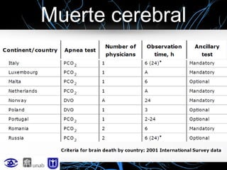 Muerte cerebral

 