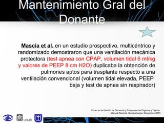 Mantenimiento Gral del
Donante
Mascia et al. en un estudio prospectivo, multicéntrico y
randomizado demostraron que una ventilación mecánica
protectora (test apnea con CPAP, volumen tidal 6 ml/kg
y valores de PEEP 8 cm H2O) duplicaba la obtención de
pulmones aptos para trasplante respecto a una
ventilación convencional (volumen tidal elevada, PEEP
baja y test de apnea sin respirador)

Curso en la Gestión de Donación y Trasplante de Órganos y Tejidos.
Manual Docente. Bucaramanga, Noviembre 2013

 
